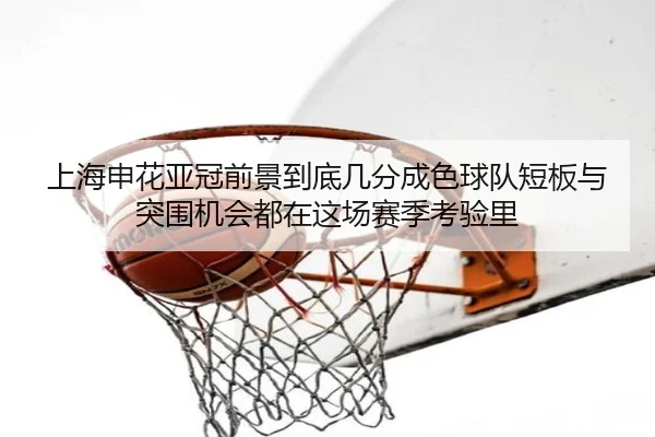 img_1780913911412_23_1_649.jpg